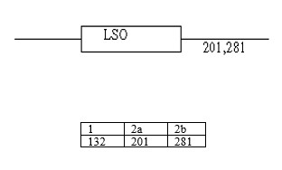 Picture9.jpg