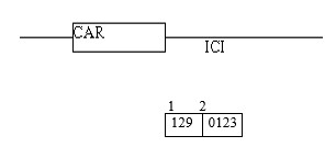Picture11.jpg